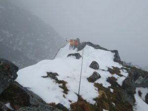 Golden Oldie, Aonach Mor