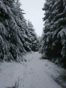 Castle Ridge, Winter Climbing Course